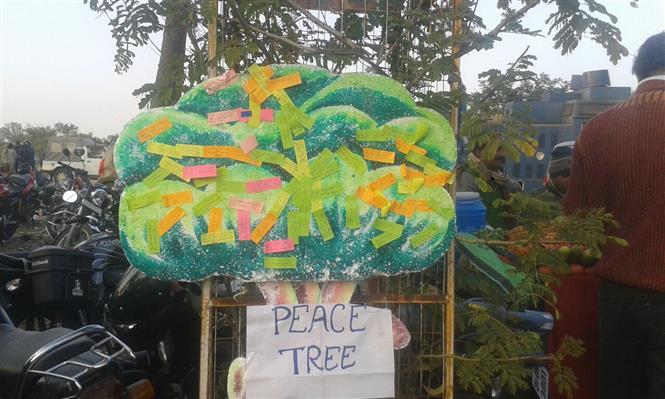 YPF Peace Wishig Tree & Signature Campaign at JSCA, Ranchi, Jharkhand