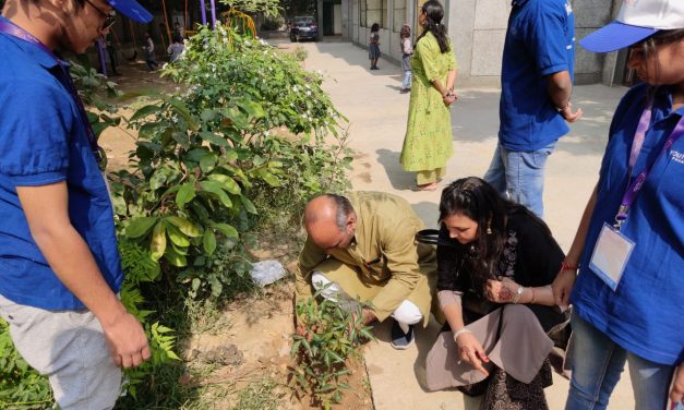 Cleanliness Campaign in Bindapur, New Delhi